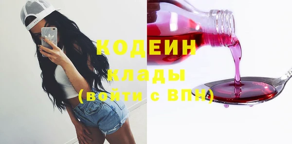 индика Елабуга