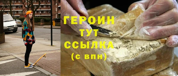 индика Елабуга